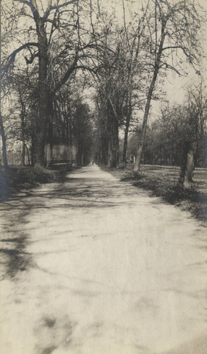 Bicycle path on Esplanade