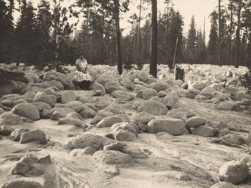 Mud Creek Glacier Album