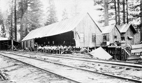 Lumber Camps