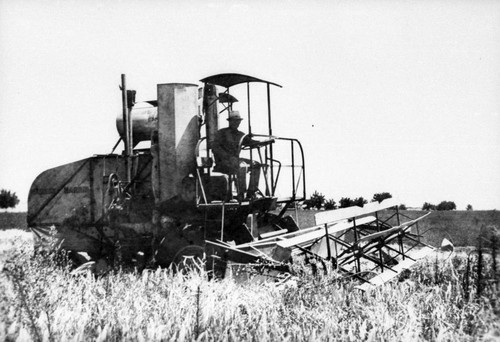 Massey Harris, Grain Harvester