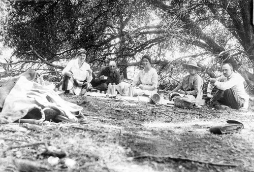 Picnic at the Standford Ranch