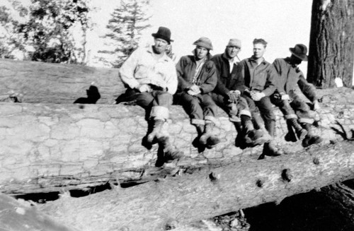 Logging crew seated on logs at Lyonsville