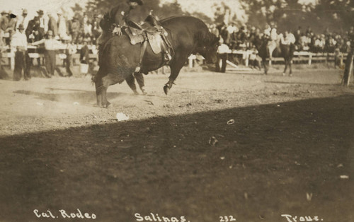 Arthur West, California Rodeo