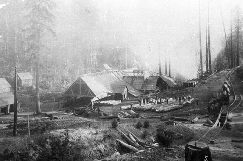 New Arcade Mill , Sierra Lumber Company