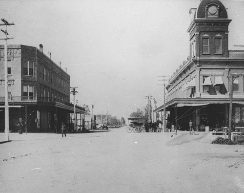 Willows Street Scene