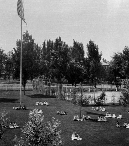 Diamond Match Company : Employees in grounds surrounding Chico, California Factory