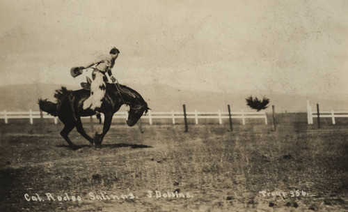 John Dobbins, California Rodeo