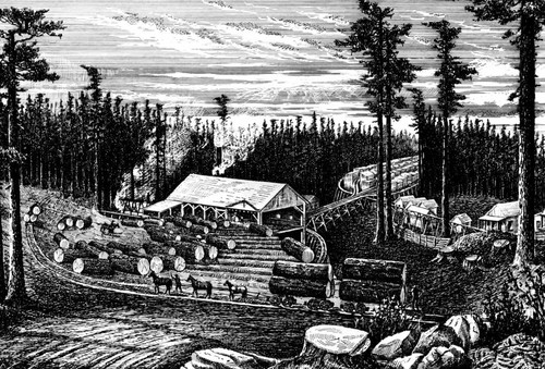 Sierra Flume and Lumber Company