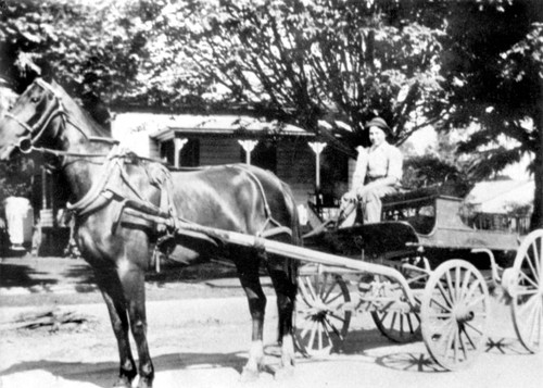 Horse and carriage