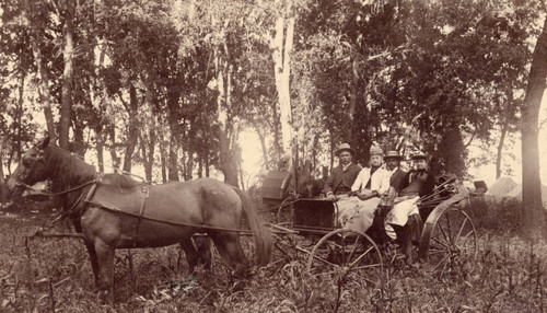 Group Portrait in a Carriage