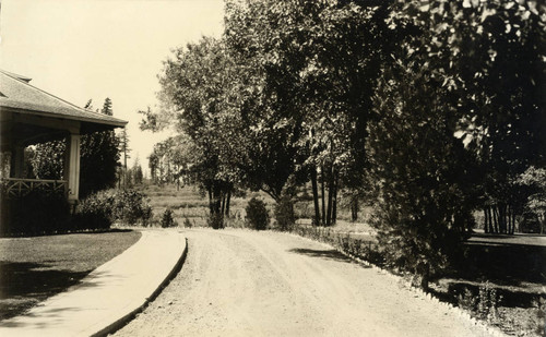 Residential Driveway