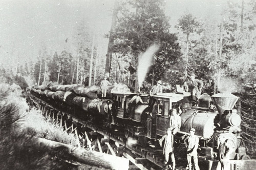 Logging Train from Sierra Flume and Lumber Co