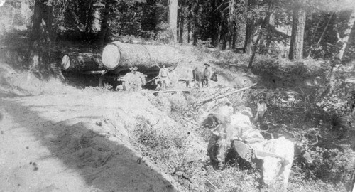 Loading Logs Near Merrimac