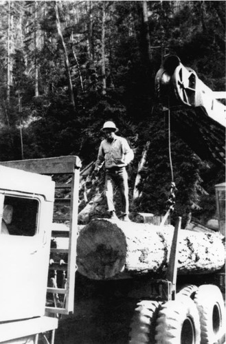 Soper-Wheeler Logging Industry