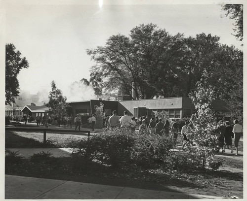 Cafe by the Creek