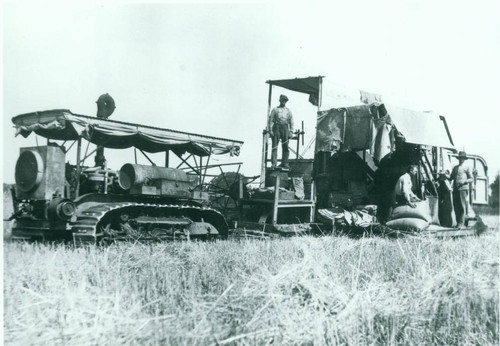 Harvesting in Nelson