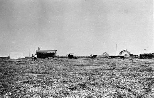 Hay Field