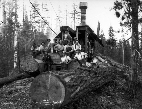 Log Transportation