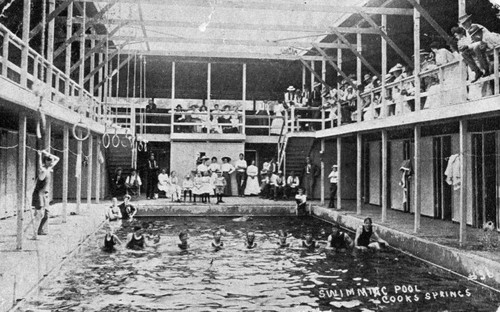 Cook Springs Pool