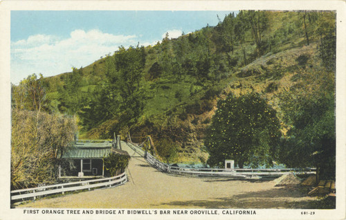 First Orange Tree And Bidwell Bar Bridge