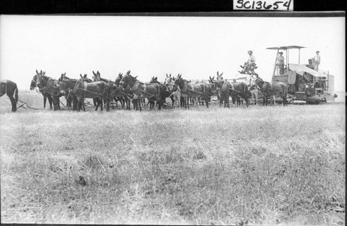 Harvesting Team