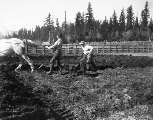 Plowing Fields, Meadow Valley