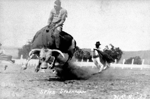 Spike Spachman in Rodeo