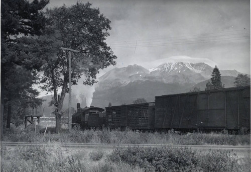 McClound River Railroad Co. Train