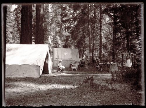 Camping at Manzanita Lake