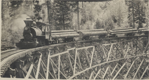 Logging Train