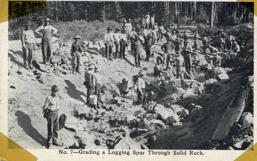 Grading a Logging Spur