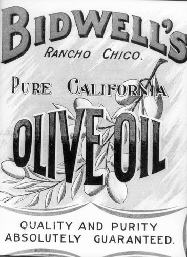 Bidwell's Olive Oil