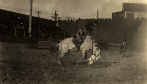 John Dobbins, Cal Rodeo