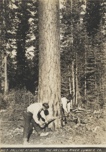 McCloud River Lumber Company