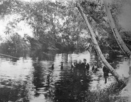 Scene in Antelope Creek