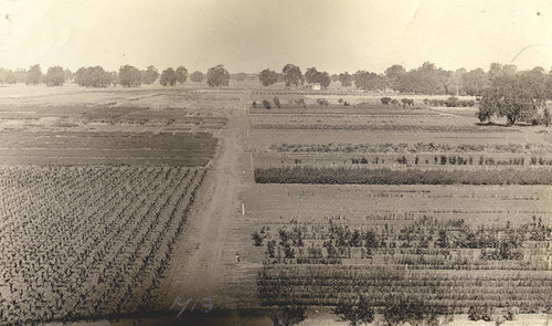 View of the Plant Introduction Garden