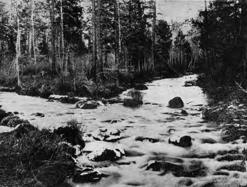 North Fork Feather River