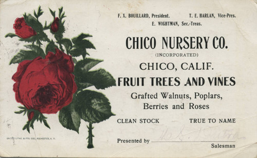 Chico Nursery Advertisment