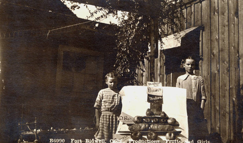 Two children with fruit display