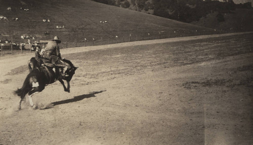 Hoot Gibson, Pendleton Round-Up