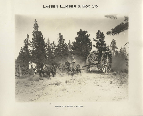 Horse Drawn Logging Wagon