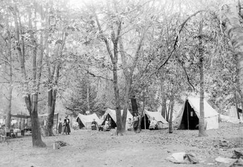 Bidwell Camp, Chico