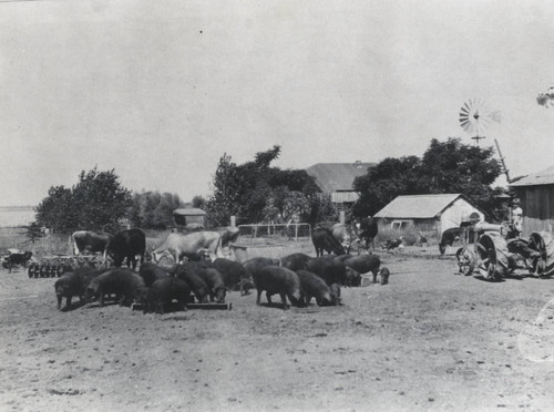 Herbert Busse Ranch