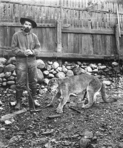 Man with dead mountain lion. Sawyers Bar area