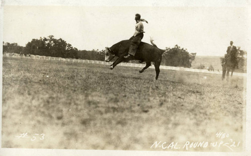 Cowboy on Bucking Bull