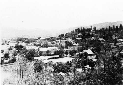 Shasta City View