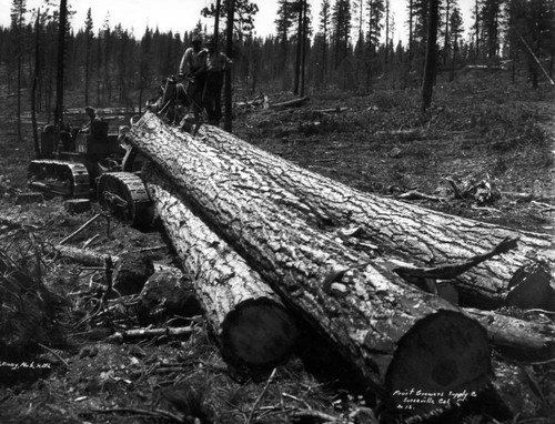 Logs and Machinery