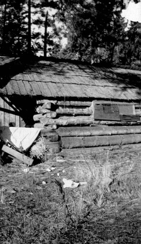 Log cabin