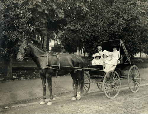 Horse and Carriage