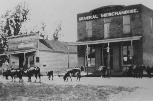 Post Office in Nelson, California